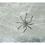 U.S. Toy FA586 Spider Web - Jumbo, Price/Piece