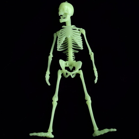 U.S. Toy MU75 Glow in the Dark Skeleton Box of Bones