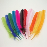 U.S. Toy MX156 Assorted Color Turkey Feathers