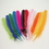 U.S. Toy MX156 Assorted Color Turkey Feathers, Price/Dozen
