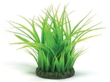BiOrb Easy Plant Grass Ring, Medium