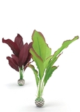 BO00505 BiOrb Silk Plant Pack, Medium Green/Green