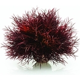 BiOrb BO00539 Crimson Sea Lily