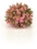 BO00731 BiOrb Pink Topiary Ball