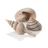 BiOrb BO01031 Natural Sea Shells Set