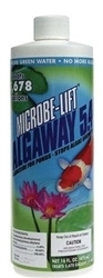 Microbe-Lift  CG20399 Algaway 5.4, 16 Oz