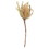 Vickerman H1BAJ000-3 12" Natural Banksia Flower Stem 3/Pk