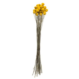 Vickerman H4BBN700 16-18" Yellow Billy Buttons 25-30 Stems