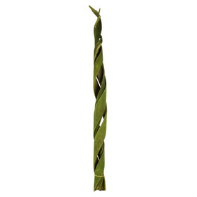 Vickerman H2CCV100 45-48" Curled Basil Coco Velvet Stems