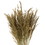 Vickerman H2CGR000 36" Natural Congo Grass Bundle