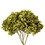 Vickerman H1HYD125 15" Antique Moss Hydrangea Stem