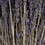Vickerman H4LAV500 12-18" Lavender Bundle - 4oz.