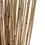 Vickerman H1MAR000 30" Natural Marsh Reed Bundle