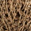 Vickerman H2OSS000 18 x 5" avg Natural Olympia Seed Pod