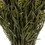 Vickerman H1SAF150 12" Green Salignum with Cones Bundle