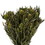 Vickerman H1SAF150 12" Green Salignum with Cones Bundle