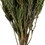 Vickerman H1SAM150 12" Green Salignum Bundle 7 oz