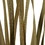 Vickerman H1SNG000-3 18-30" Natural Snake Grass - 36 Stems