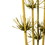 Vickerman H2STR100 36-40" Basil Star Bamboo Reed Stem