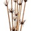 Vickerman H2STR800-2 36-40" Brown Star Bamboo Reed - 14 Stems