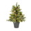 Vickerman A118225 24" x 21" Cashmere Pine Dura-Lit 50CL