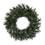 Vickerman A118324 24" Cashmere Wreath 120 Tips