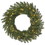 Vickerman A154321 20" Durango Spruce Wreath Dura-Lit 50CL