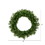 Vickerman A802818 16" Canadian Pine Wreath 100 Tips