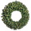 Vickerman A808824 24" Douglas Wreath Dura-Lit 50CL 200T