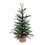Vickerman B165024 24" x 14" Angel Pine Tree 239T