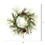 Vickerman D180524 24" Larkspur Pine Wreath