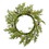 Vickerman D190324 24" Cedar Pinecone Wreath 30Tips
