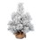 Vickerman D190820 24" Frosted Beckett Pine Tree 21Tips