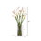 Vickerman F11102 White Callas Lily's in Glass Cylinder