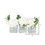 Vickerman F12236 5" White Hydrangea in Glass Cube 3/Set