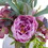 Vickerman F213079 15" Pink Mauve Mix Peony Bouquet Vase