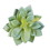 Vickerman FA170401 4" Cactus-Green/Grey Pk/6