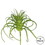 Vickerman FA171701 5" Plastic Grass-Frosted Green 6/Bag