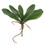 Vickerman FA173101 9" Real Touch Orchid Leaves-Green Pk/3