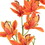 Vickerman FA188901 32" Orange Orchid Stem 6/Pk