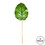Vickerman FA190335 35" Green Pothos Leaf Real Touch Pk/6