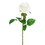 Vickerman FA191311 26" White Rose Stem 6/pk