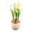Vickerman FA192911 10" Yellow Hyacinths in Container 2/pk