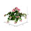 Vickerman FA193002 16" Pink Hanging Geranium Bush