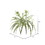 Vickerman FB170101-2 24" Spider Plant w/82 Green Lvs 2/Bag