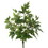 Vickerman FB171801 20" Maple Ivy Bush W/66 Lvs-Green