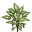 Vickerman FB172101 22" Dieffenbachia Exotica Bush-Grn/White