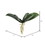 Vickerman FC170201 9.5" Orchid Leaf x 5-Green PK/3