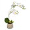 Vickerman FC180501 18" White Orchid in Ceramic Pot