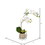 Vickerman FC180501 18" White Orchid in Ceramic Pot